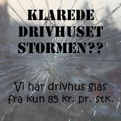 Drivhus-storm (Custom)